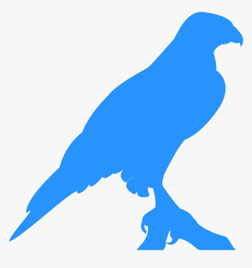 Silueta De Un Halcón, HD Png Download