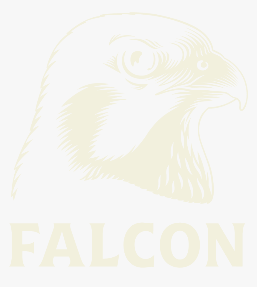 1 Falcon Logo - Falcon Beer Logo, HD Png Download