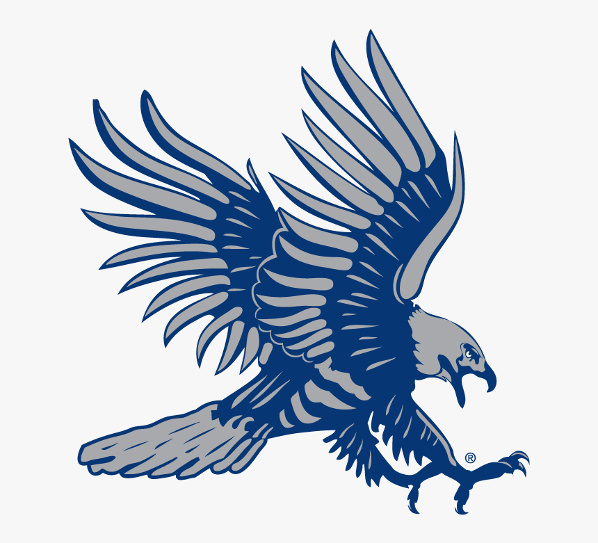 Clip Art Blue Hawk Logos - Dickinson State Blue Hawks, HD Png Download