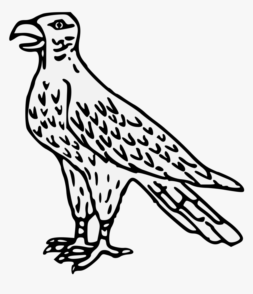 Buzzard, HD Png Download