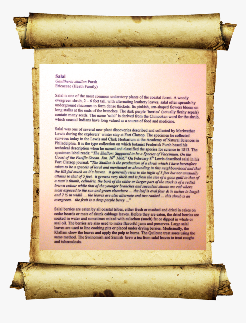 Old Paper, HD Png Download