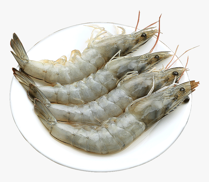 Prawn Fresh Seafood Seafood Qingdao Super Large Frozen - Caridean Shrimp, HD Png Download