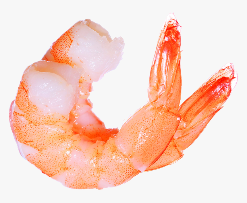 Shrimp Png, Transparent Png