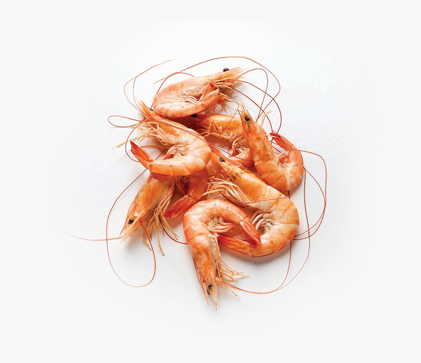 Shrimp Hd Png - Shrimp Png, Transparent Png