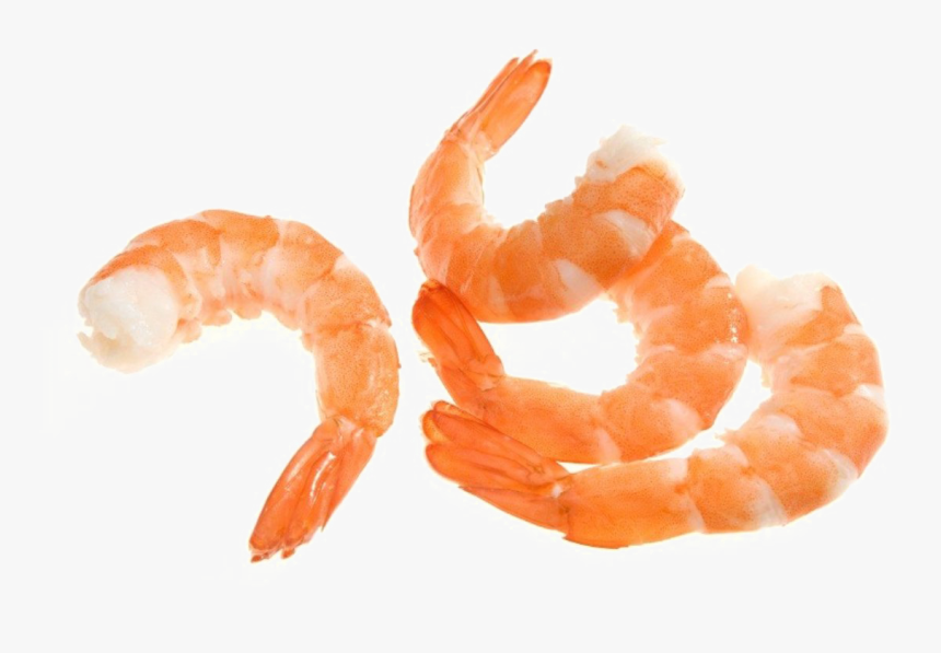 Shrimp Png Image - Shrimp Png, Transparent Png