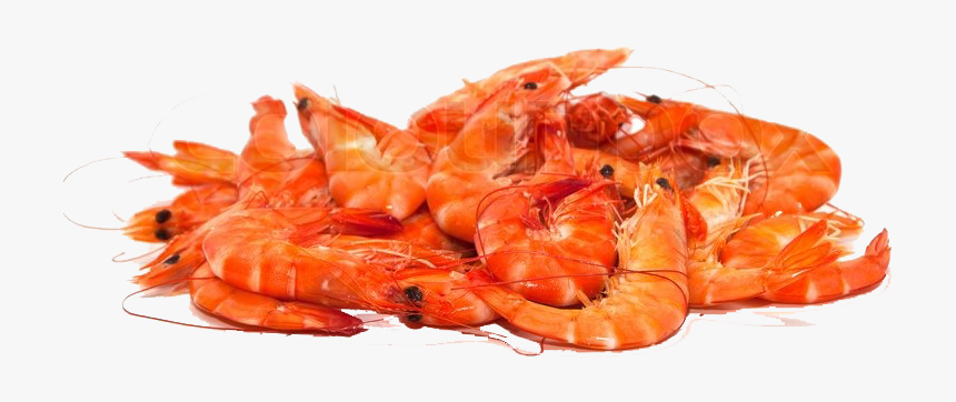 Shrimps Png Free Pic - Png Images Of Shrimps, Transparent Png