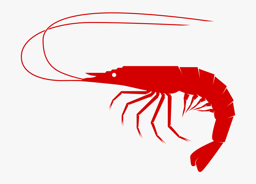 Shrimp To Use Download Png Clipart - Shrimp Clipart Png, Transparent Png