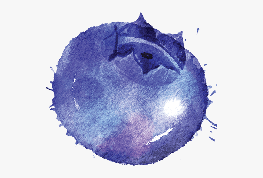 Blueberry - Circle, HD Png Download