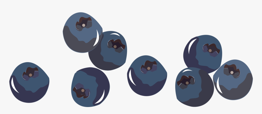 Blueberry Png, Transparent Png