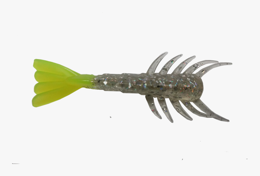 Transparent Shrimp Clipart - Shrimp, HD Png Download