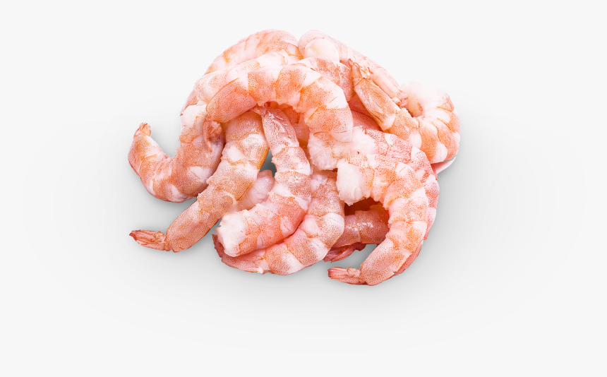 Camarón Coctel Seleccionado - Scampi, HD Png Download