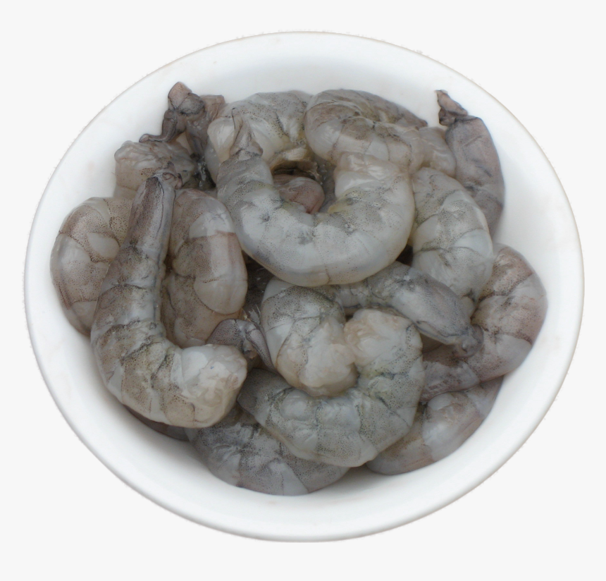 Laughing Bird Shrimp Litoanaeus Vannamei - Laughing Bird Shrimp Logo, HD Png Download