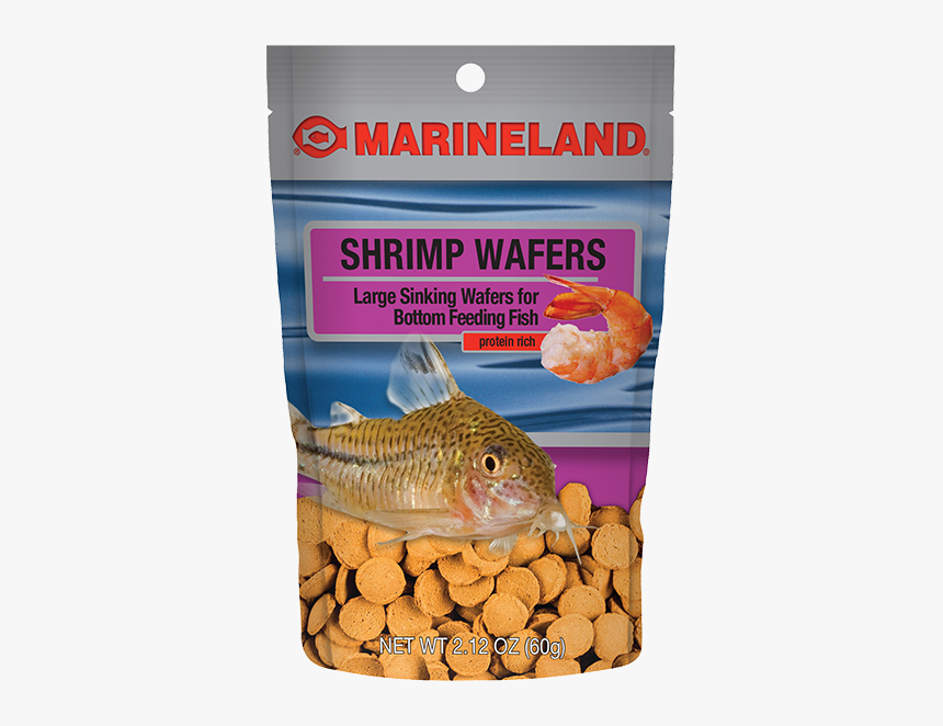 Salmon-like Fish, HD Png Download