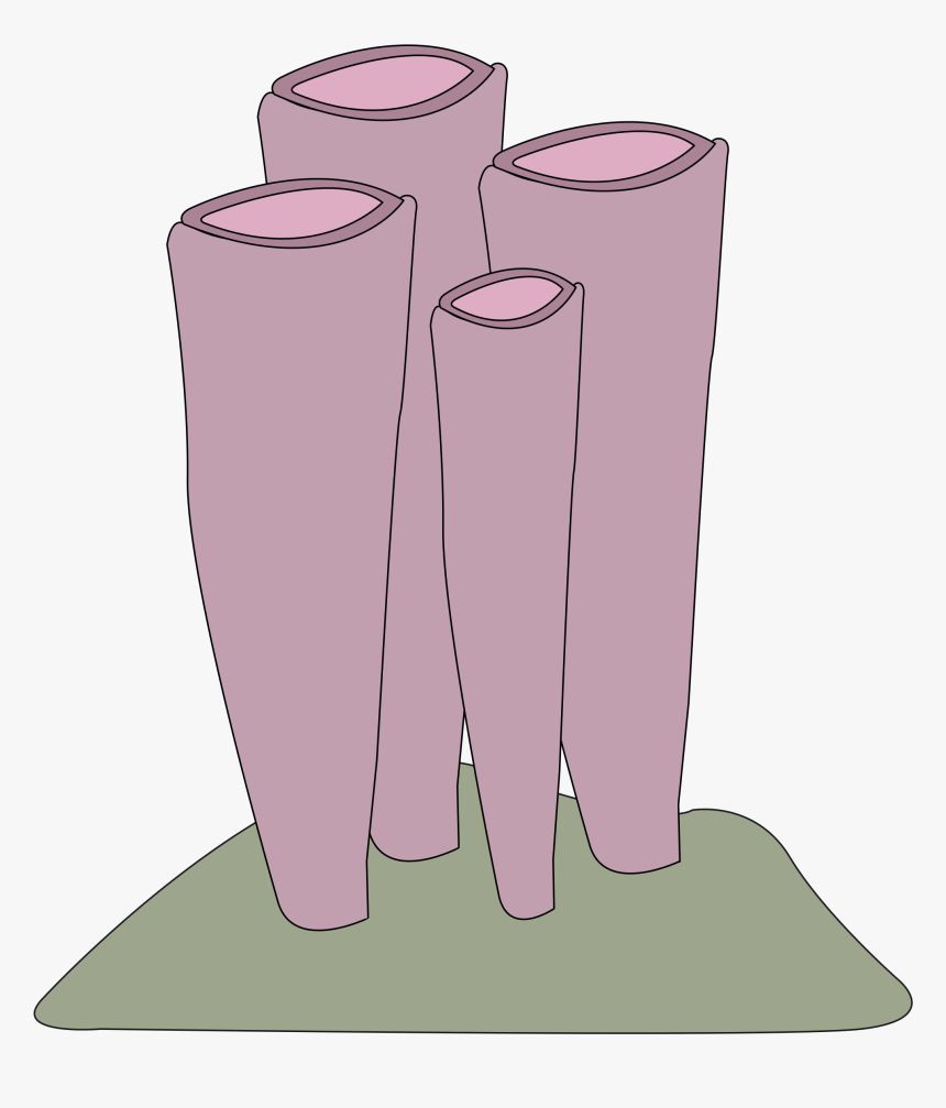 Sponge Shrimp Clip Arts - Clip Art, HD Png Download