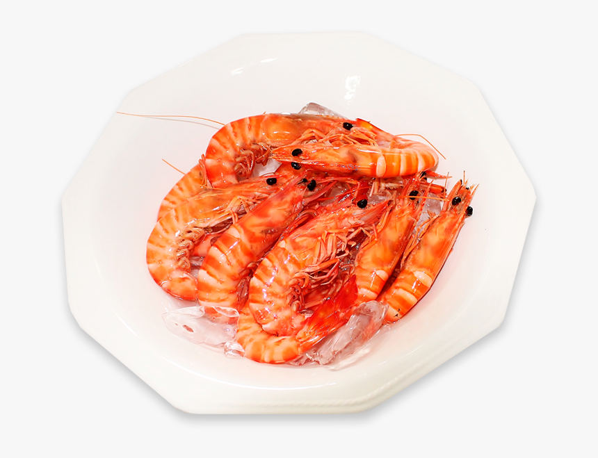 Botan Shrimp, HD Png Download