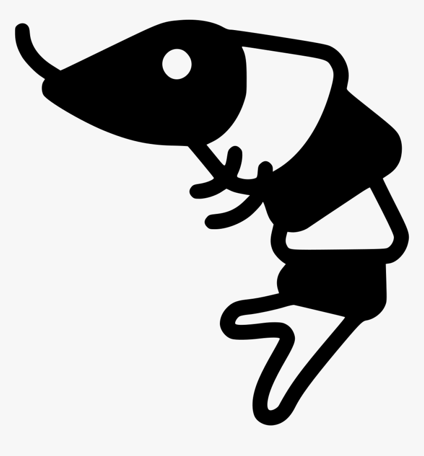 Png File Shrimp Black And White - Shrimp Clipart Black And White, Transparent Png