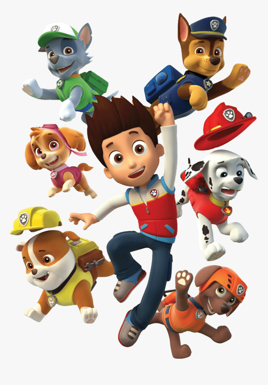 ryder and the paw patrol