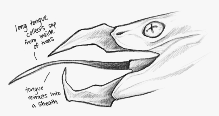 Long Tongue Png , Png Download - Sketch, Transparent Png