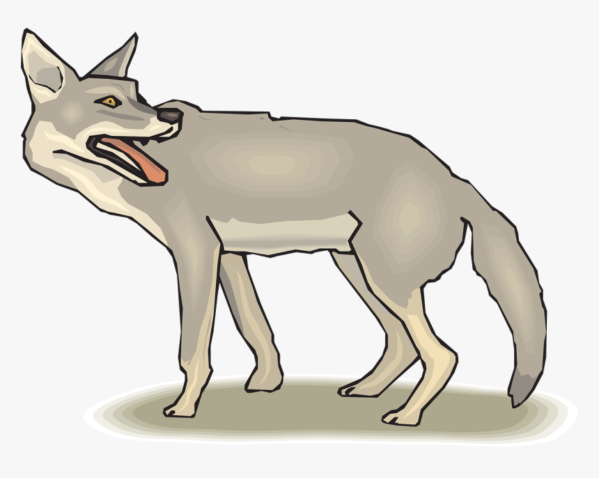 Coyote Clipart Png, Transparent Png