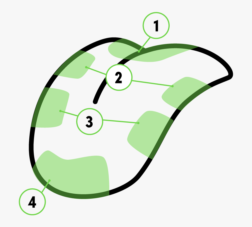 Long Story Short, The Tongue Perceives Flavour As A, HD Png Download