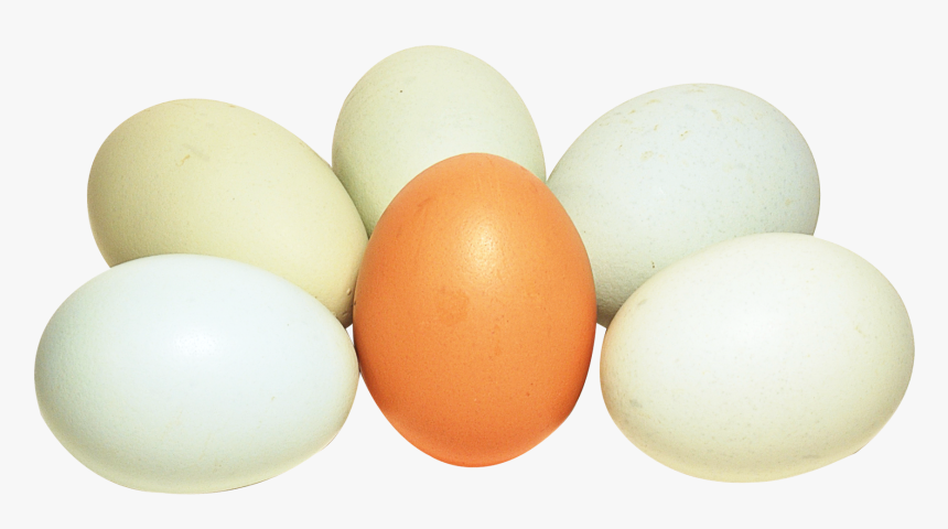 Transparent Eggs, HD Png Download