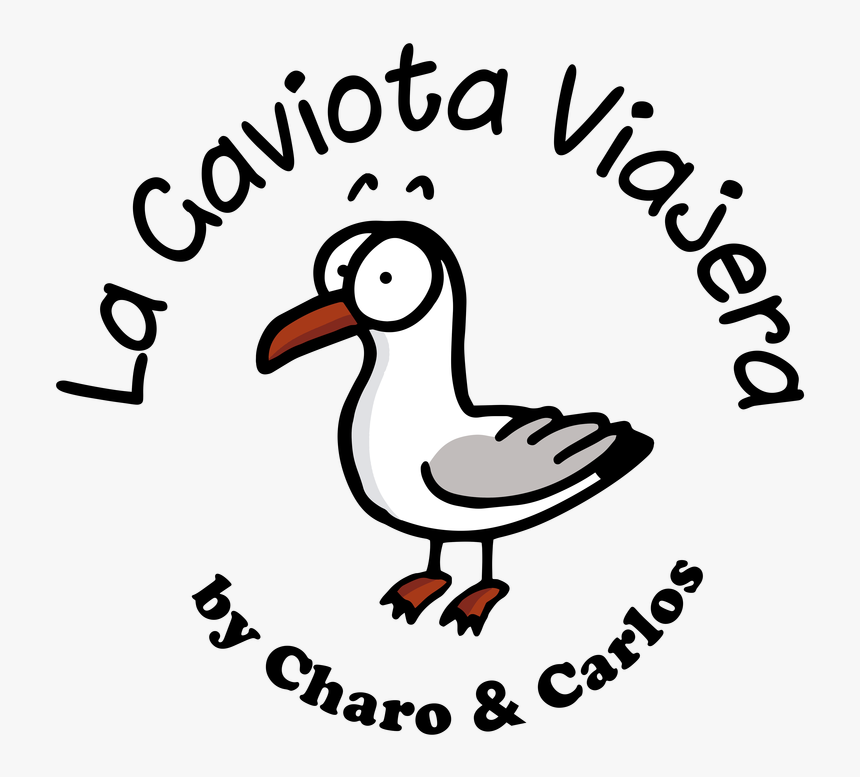 Transparent Gaviota Png - Duck, Png Download