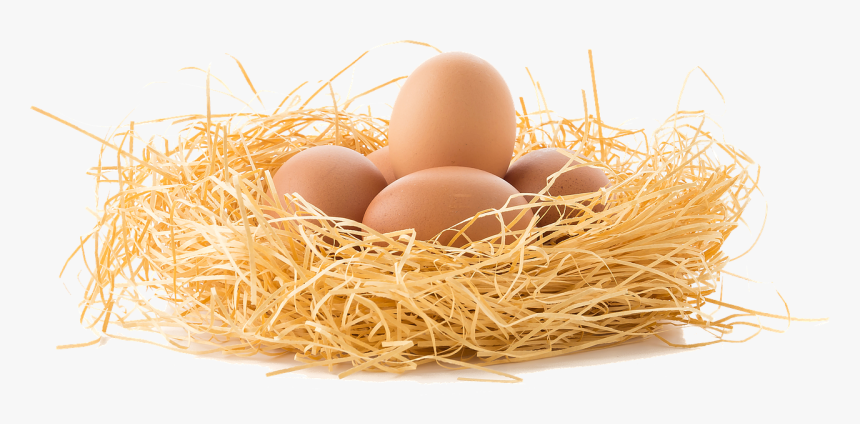 Brown Eggs Png - Eggs In Nest Png, Transparent Png