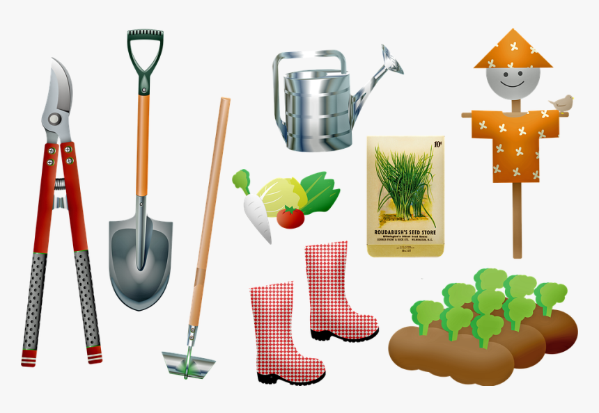 Garden, Tools, Plants Growing, Seeds, Shovel, Gardening - Garden, HD Png Download