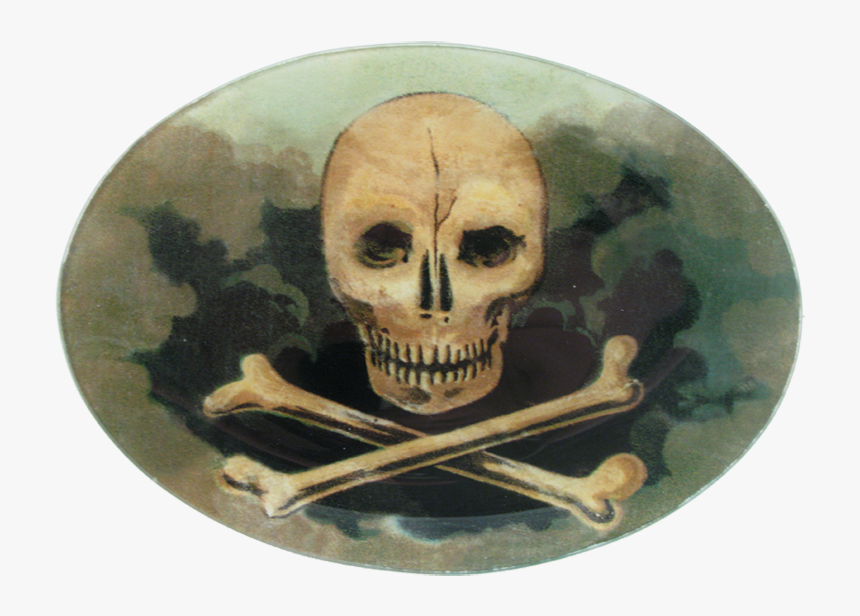 Skull, HD Png Download