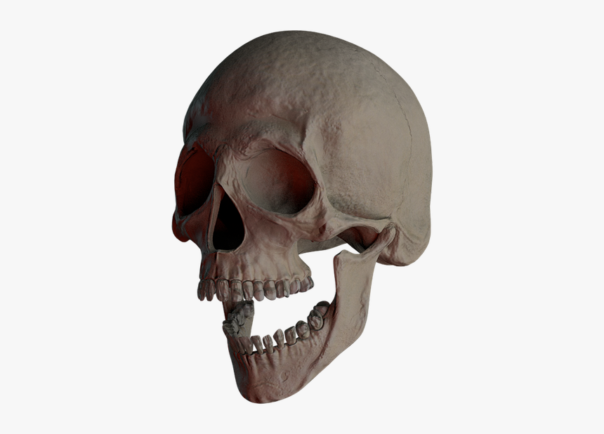 Skull, Skull And Crossbones, Bone, Creepy, Weird, Death - Skull, HD Png Download