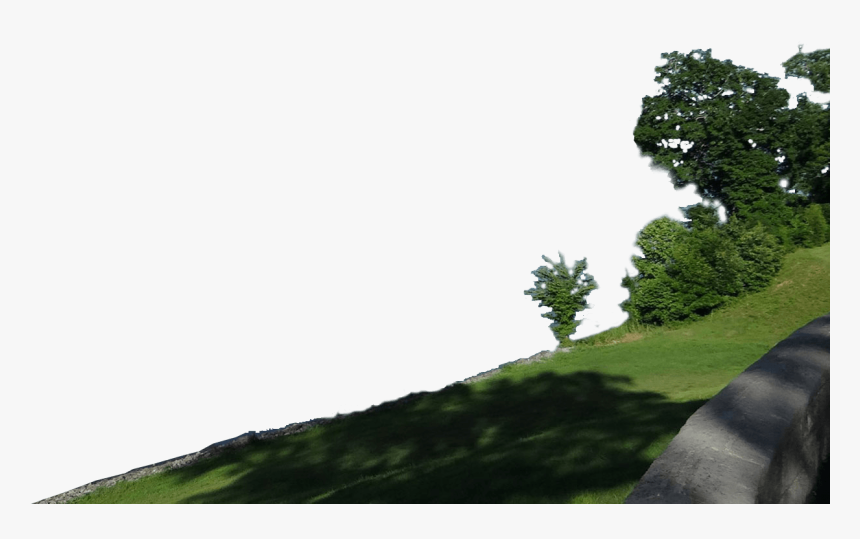 Navigating A Responsible Course - Oak, HD Png Download