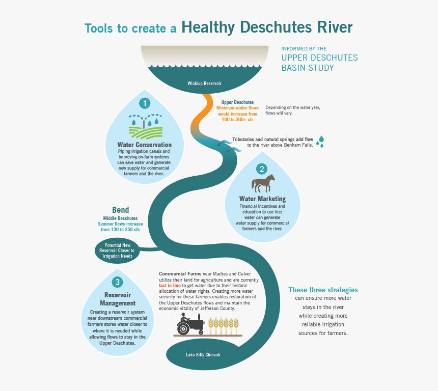 Brochure, HD Png Download