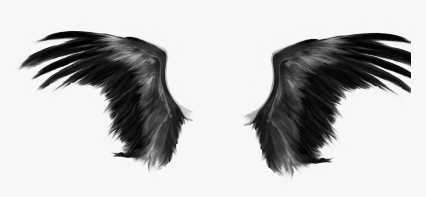 Eagle, HD Png Download