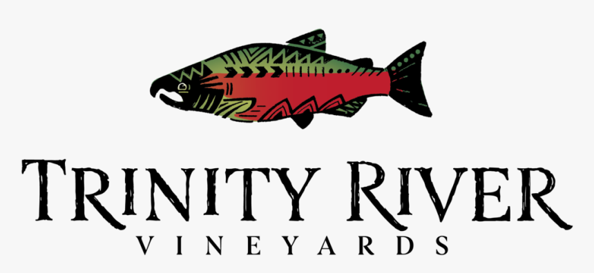 Trv-logotype Coho - Coho, HD Png Download