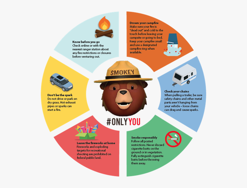 Smokey 
 Class Img Responsive Owl First Image Owl - Label, HD Png Download