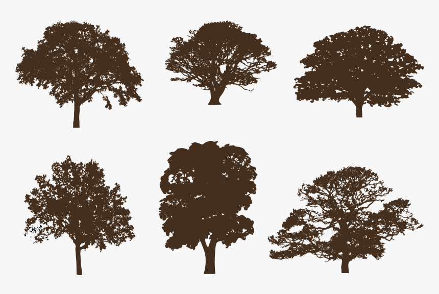 Vector Graphics, HD Png Download