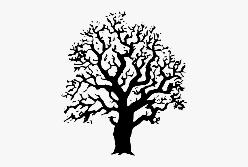 Oak Tree Vector Image - Cool Tree Clipart Black And White, HD Png Download