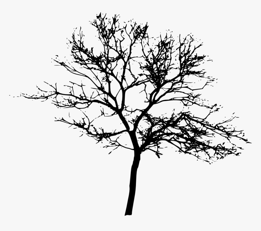Tree Display Resolution Clip Art - Silhouette Trees Transparent Background, HD Png Download