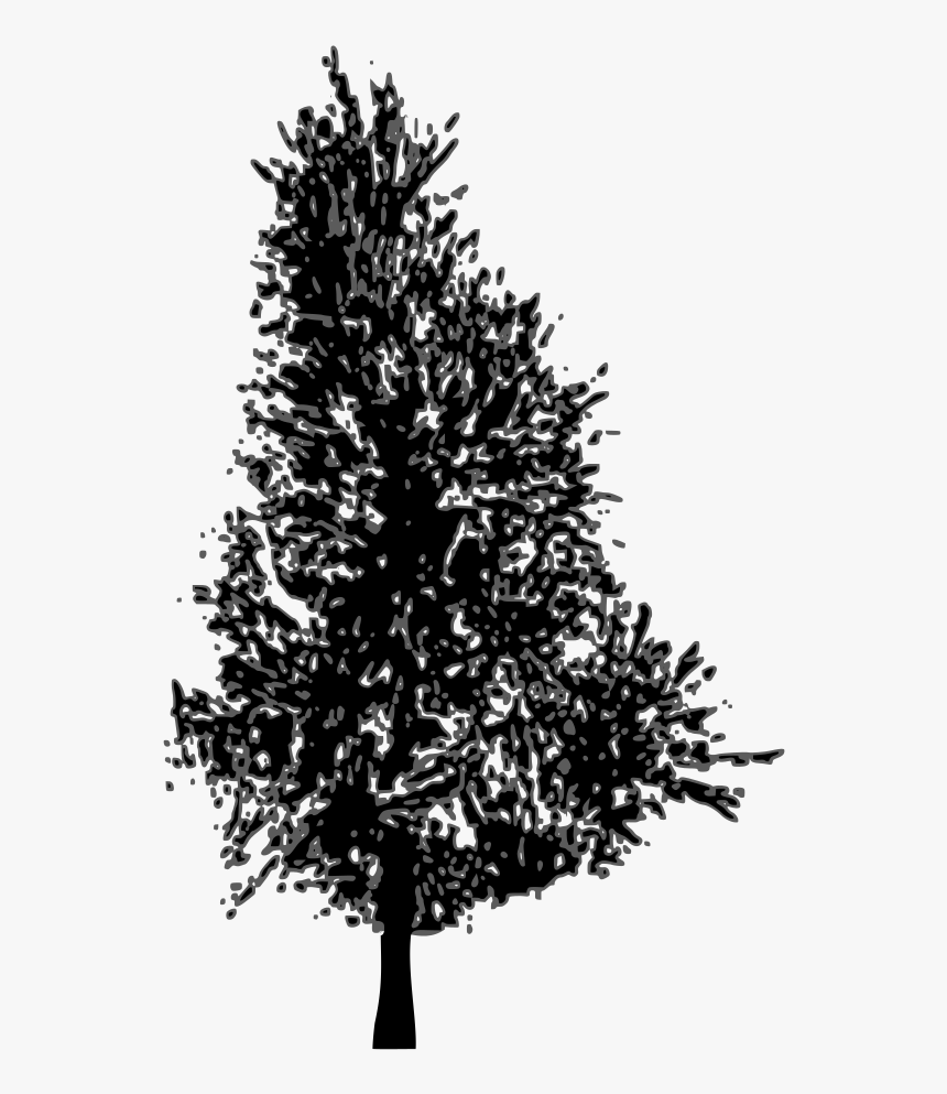 Vector Pine Tree - Pine Tree Cliparts Silhouette, HD Png Download