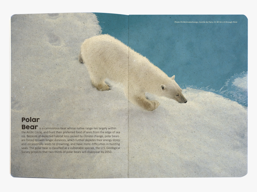 Truegrasses Paper Notebook 
 Data-zoom //cdn - Polar Bear, HD Png Download