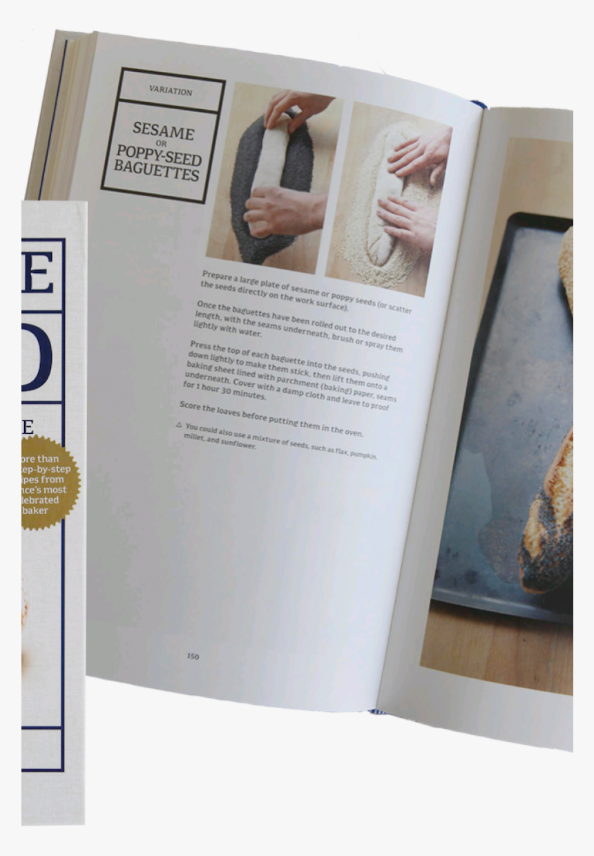 Transparent Bloody Handprint Png - Flyer, Png Download