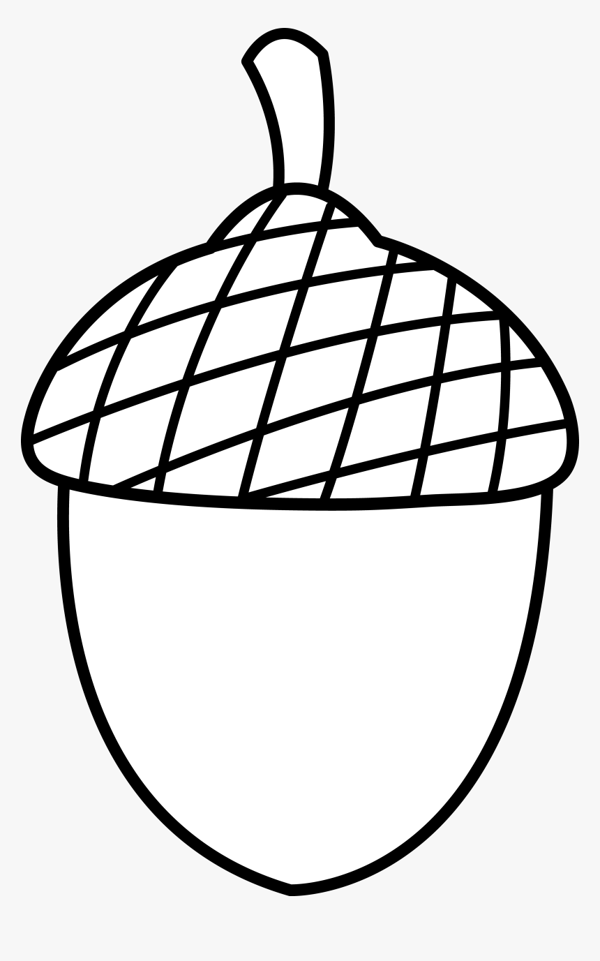Black And White Acorn Clipart - Outline Acorn Clip Art, HD Png Download
