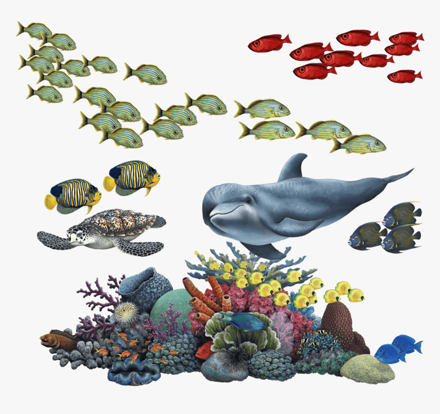 Coral Reef Tropical Fish Mural Wall Decal Sticker Combo - Coral Reef Transparent Background, HD Png Download