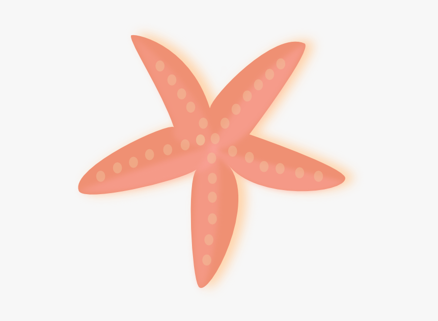 Coral Starfish Clip Art - Starfish, HD Png Download