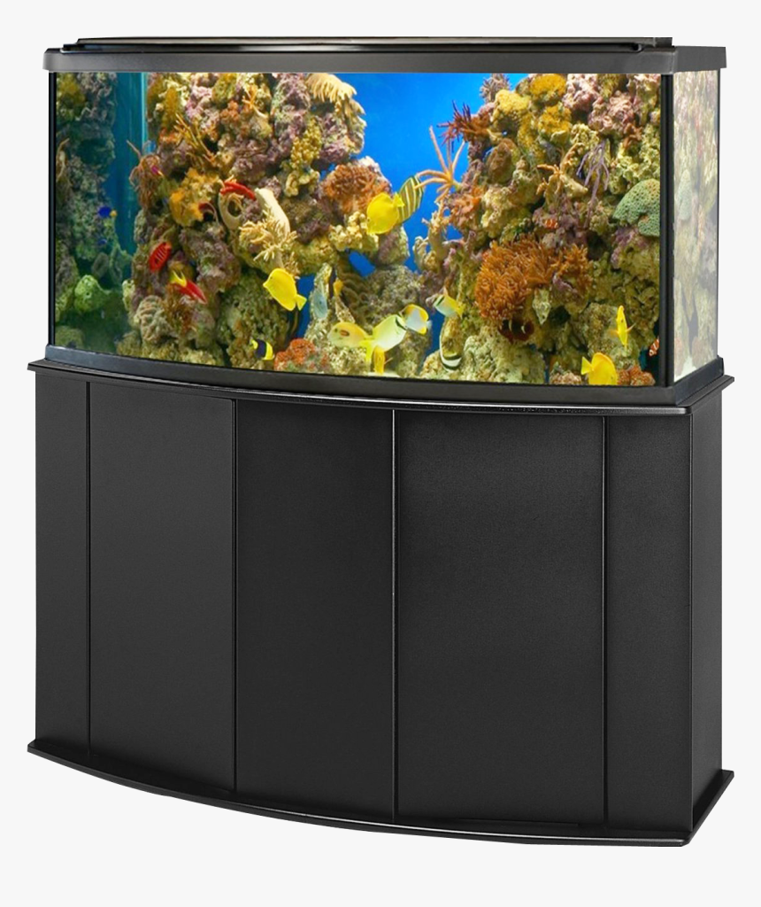 Reef - Aquarium Fish Tank Png, Transparent Png
