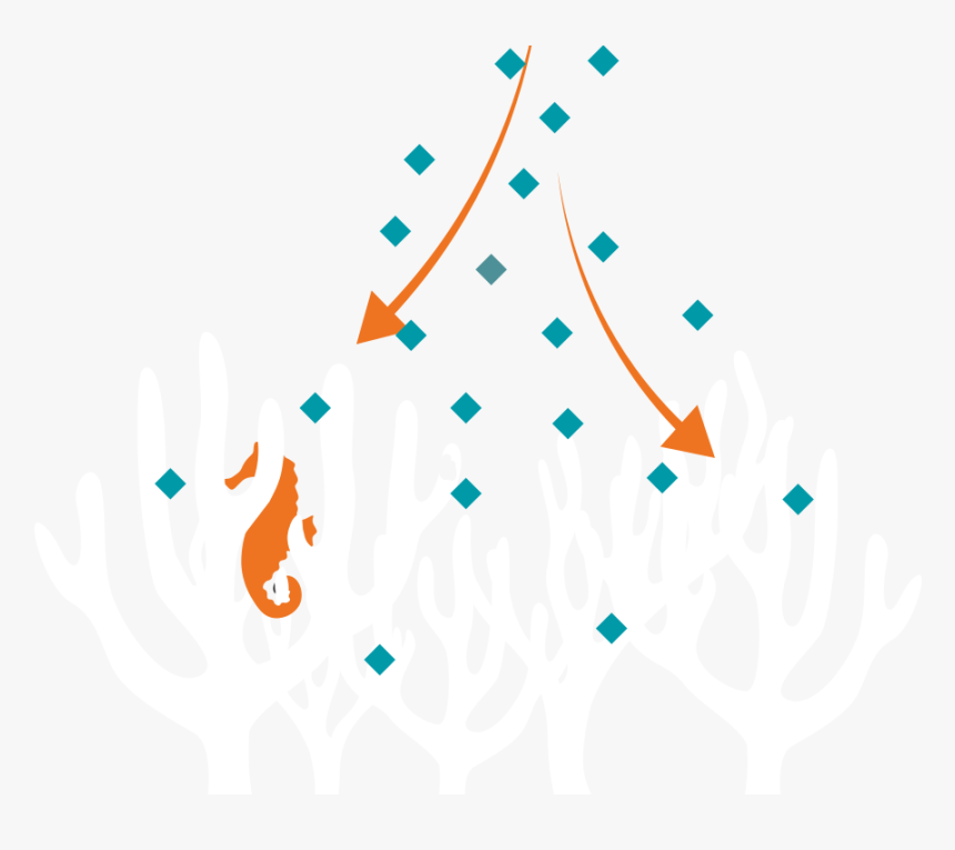 Ag-coral - Graphic Design, HD Png Download