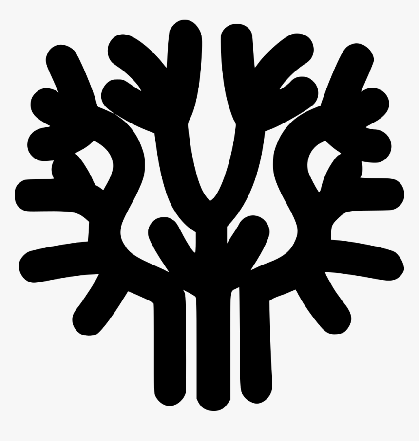 Coral - Illustration, HD Png Download