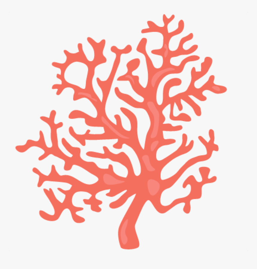 Transparent Blue Coral Clipart - Coral Clipart Transparent Background, HD Png Download