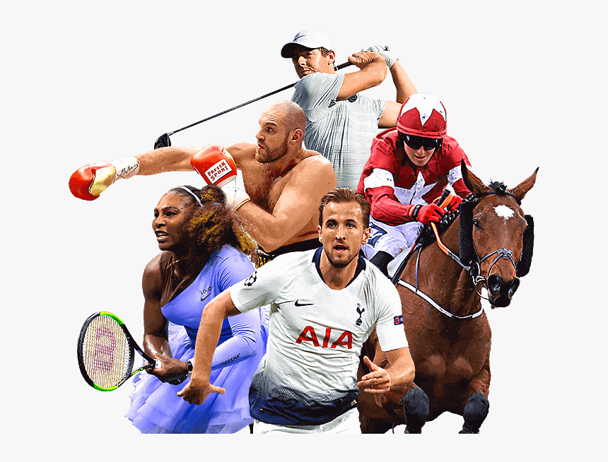 Stallion, HD Png Download