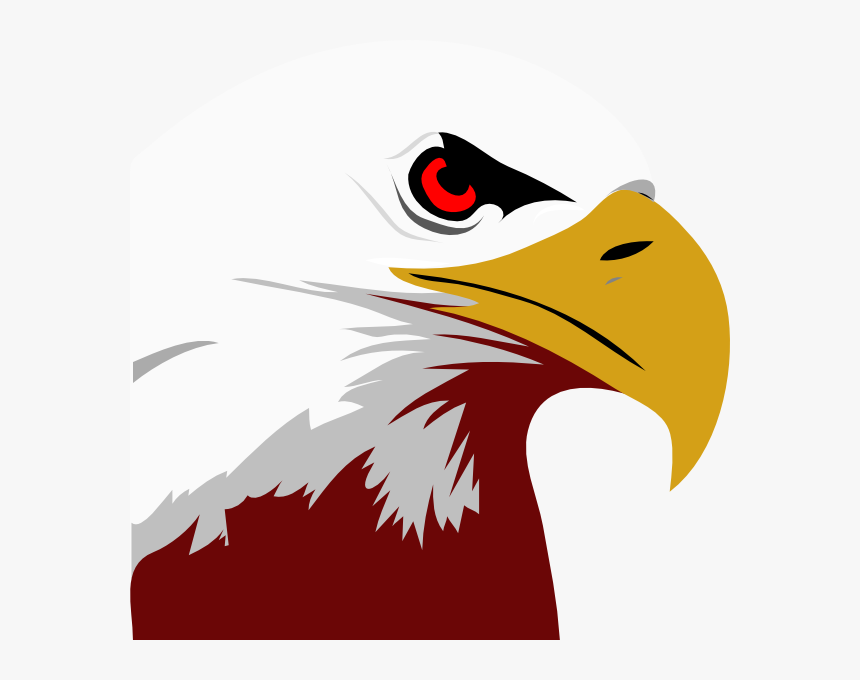 Eagle Clipart Bald Eagle Clip Art - Bald Eagle Clipart, HD Png Download